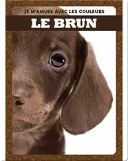 Le brun (Brown)
