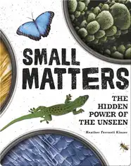 Small Matters: The Hidden Power of the Unseen
