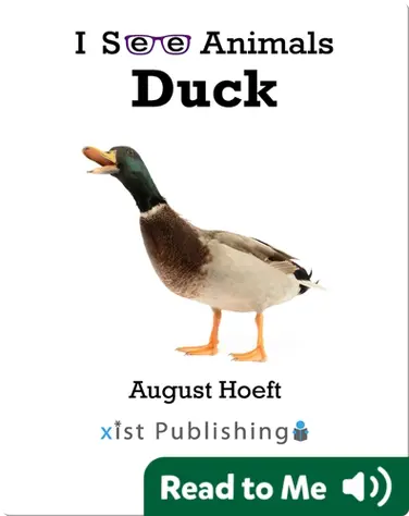 I See Animals: Duck book