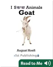 I See Animals: Goat