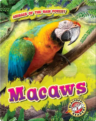 Animals of the Rain Forest: Macaws book