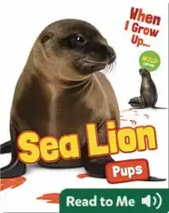 When I Grow Up: Sea Lion Pups