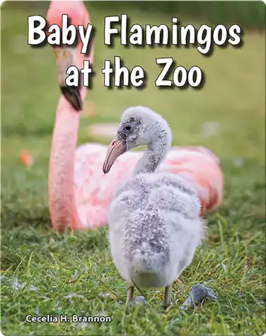 Baby Flamingos at the Zoo book