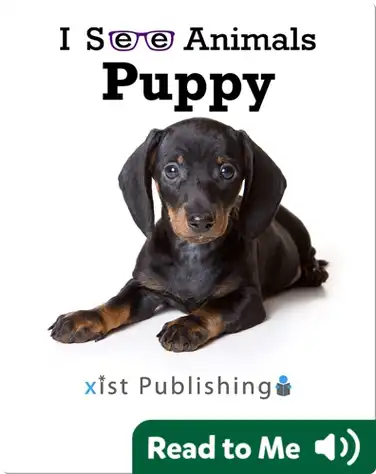 I See Animals: Puppy book