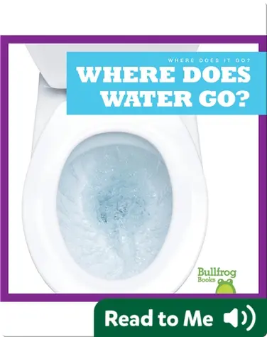 Where Does It Go?: Where Does Water Go? book