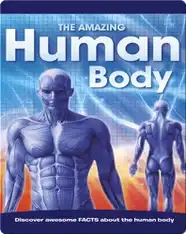 The Amazing Human Body