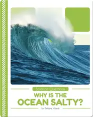 Science Questions: Why the Ocean Salty?