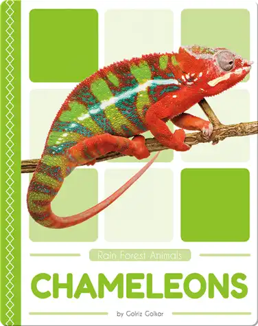 Rain Forest Animals: Chameleons book