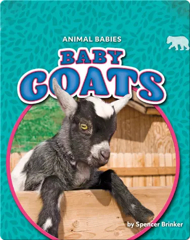Animal Babies: Baby Goats book