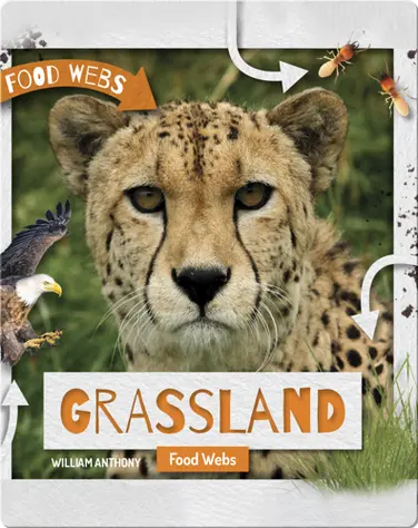 Grassland Food Webs book