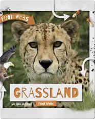 Grassland Food Webs