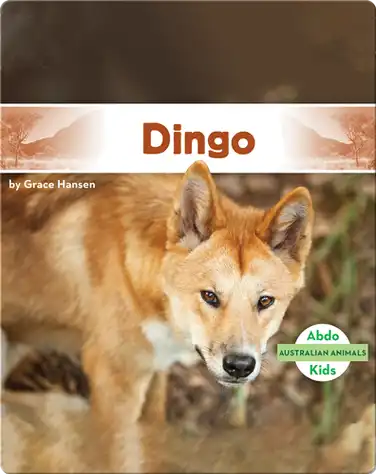 Australian Animals: Dingo book