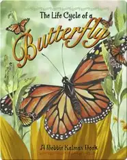 The Life Cycle of a Butterfly