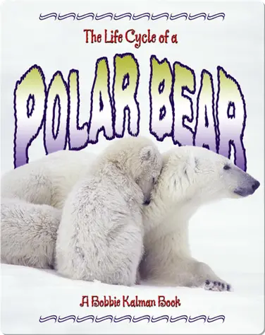 The Life Cycle of a Polar Bear book