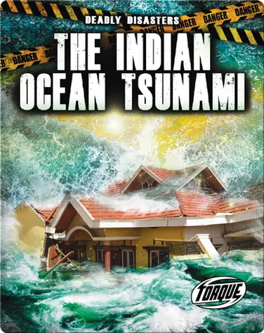 Deadly Disasters: The Indian Ocean Tsunami book