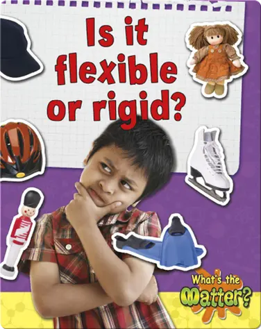 Is it Flexible or Rigid? book