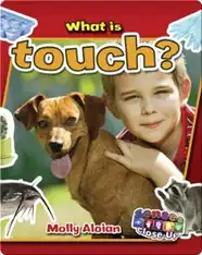 What is Touch?