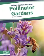 Helping the Environment: Pollinator Gardens