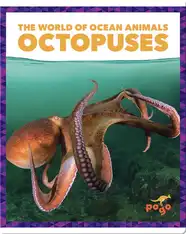 The World of Ocean Animals: Octopuses