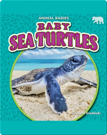 Animal Babies: Baby Sea Turtles book