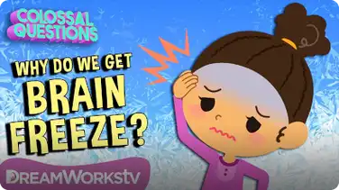 Colossal Questions: Why Do We Get Brain Freeze? book