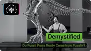 Demystified: Do Fossil Fuels Really Come from Fossils?