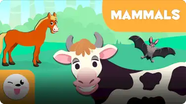 Smile and Learn Animals: Mammals book