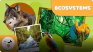 Ecosystems
