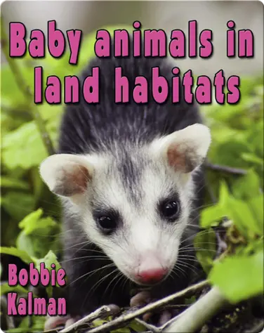 Baby Animals in Land Habitats book