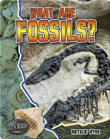 What Are Fossils? (Let's Rock!) book