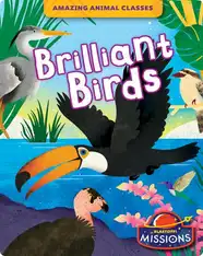 Amazing Animal Classes: Brilliant Birds