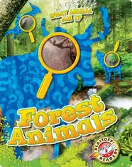 What Animal Am I?: Forest Animals