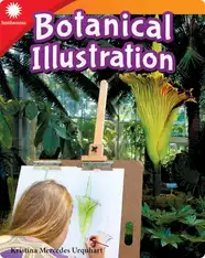 Botanical Illustration