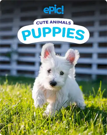 Cute Animals: Puppies book