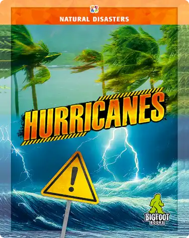 Hurricanes book