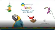 Smithsonian: Birds
