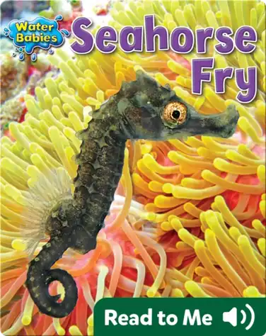 Seahorse Fry book