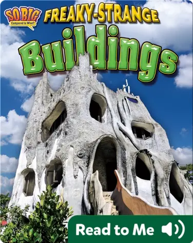 Freaky-Strange Buildings book
