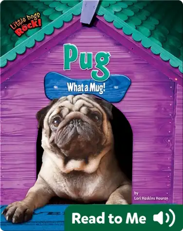 Pug: What a Mug! book