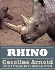 Rhino