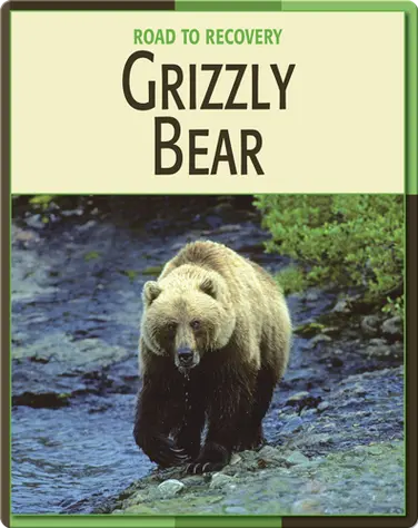 Road To Recovery: Grizzly Bear book