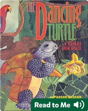 The Dancing Turtle book