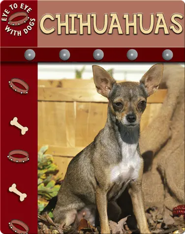 Eye To Eye With Dogs: Chihuahuas book