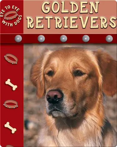 Eye To Eye With Dogs: Golden Retrievers book