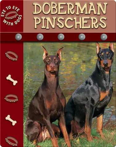 Eye To Eye With Dogs: Doberman Pinschers book