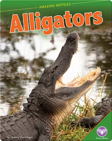 Amazing Reptiles: Alligators book