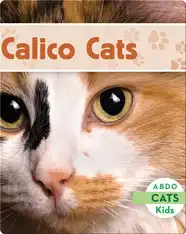 Calico Cats