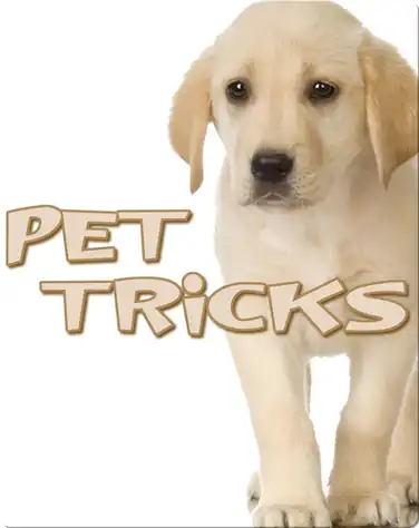 Pet Tricks book