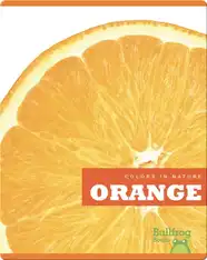 Colors In Nature: Orange