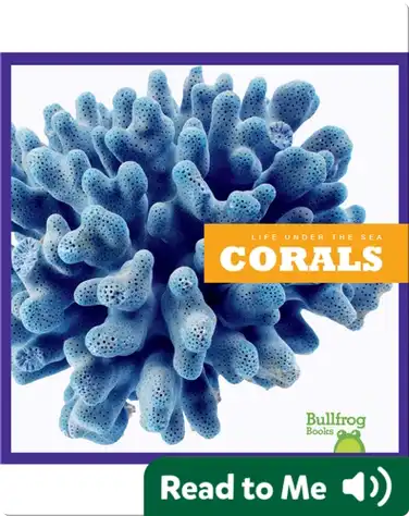 Life Under The Sea: Corals book